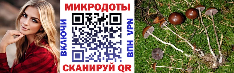гидра рабочий сайт  Ейск  Псилоцибиновые грибы мицелий 