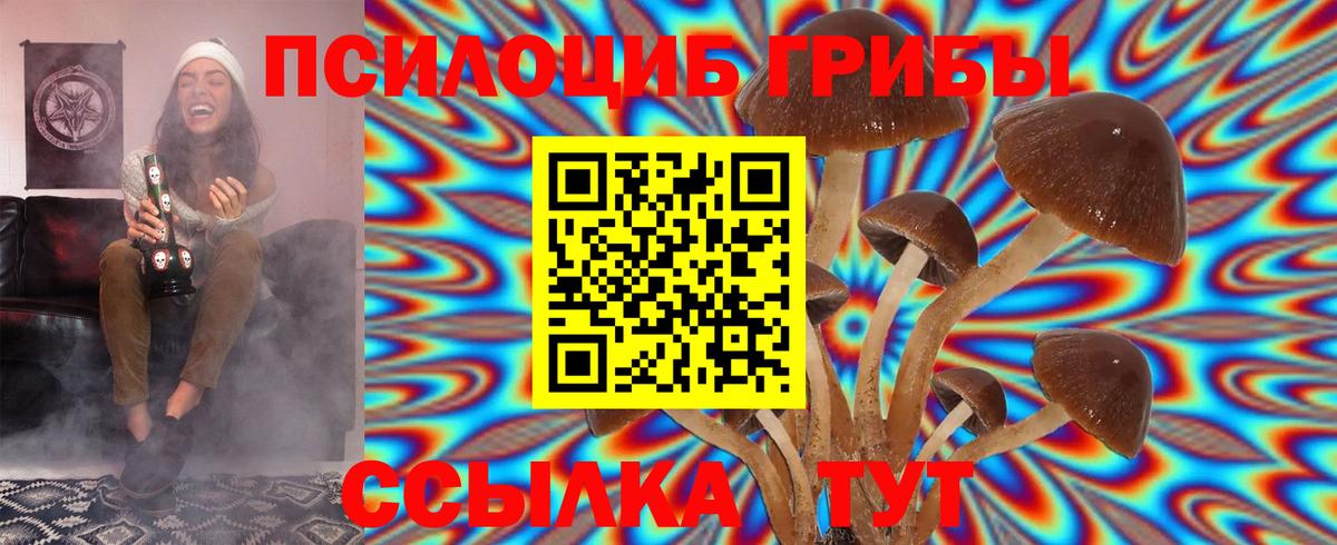 Галлюциногенные грибы ЛСД  Вход с VPN  Ейск  цены   Псилоцибиновые грибы Psilocybine cubensis 
