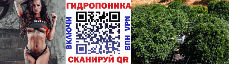 Канабис сатива  Ейск 